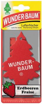 Wunder-Baum Erdbeeren (Duftbaum/Wunderbaum)