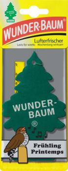 Wunder-Baum Frühling (Duftbaum/Wunderbaum)