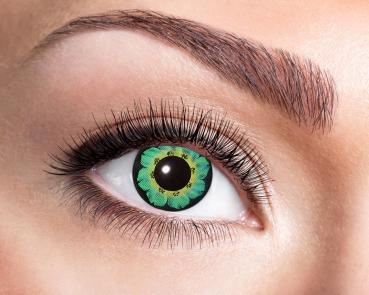 Kontaktlinsen Eyecatcher Grün Tone a14 Natürliche Linsen 3 Monate tragbar in Ges